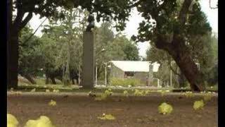 Mona Tour Show You The Good Life