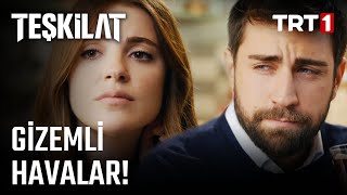 Kökünü Kazısınlar Bunların! | Teşkilat 1. Bölüm