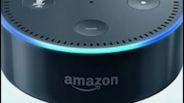 WATCH: Alexa, Was The 2020 Election Stolen?