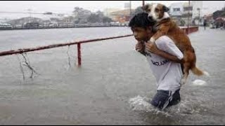 Acts of kindness towards animals will bring tears to your eyes