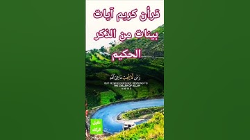 آيات بينات من الذكر الحكيم بصوت جميل ومؤثر #قران_كريم #قرآن #elmulquranعلم #تلاوة_هادئة