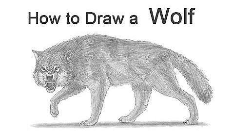 Advanced Drawing Tutorials - YouTube
