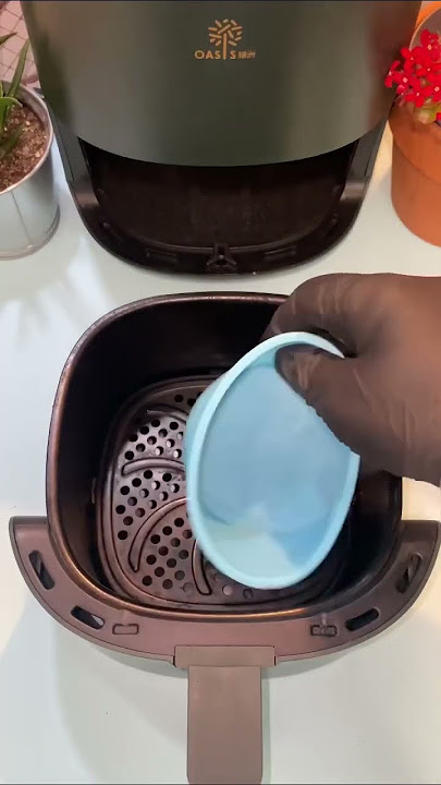 Best Air Fryer Silicone Pot! Comparison and Review 