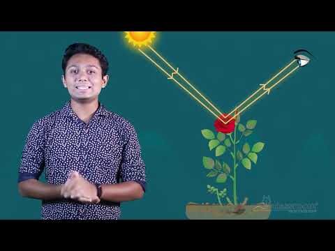 ভিডিও: বিদ্যুতের কণা প্রকৃতির অর্থ কী?