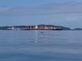 Spotting Harbor Seals and Harbor Porpoises