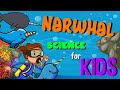 Narwhals: The Unicorns of the Sea