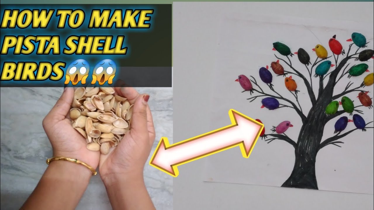 HOW TO MAKE EASY PISTA SHELL BIRDS😱 - YouTube