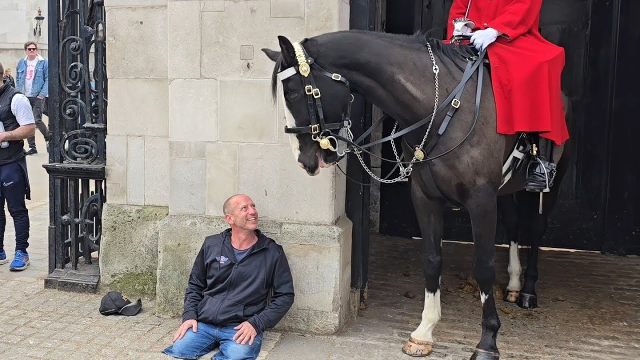 The most beautiful moment between a horse and a man who is a double amputee #kingsguard