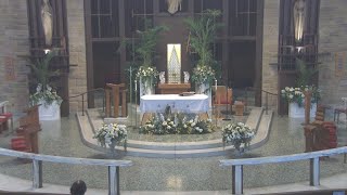 Daily 7:30 a.m. Mass