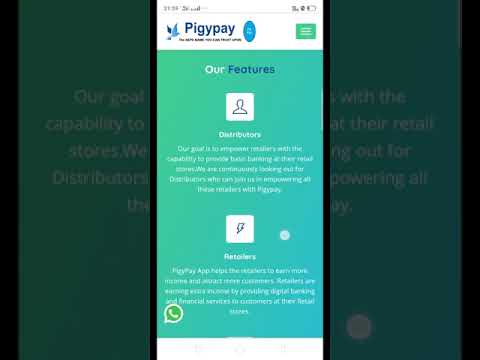 Pigypay - Website, Plans and Features