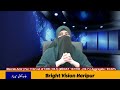 Meerab Amir: MDCAT 2025 High Achiever