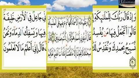 الشيخ عبد اللطيف العوض ـ سورة البقرة