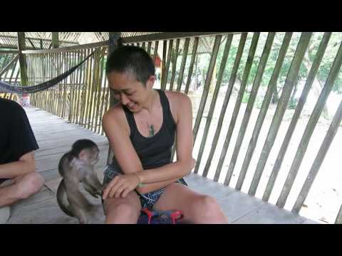 Sandy Mango -