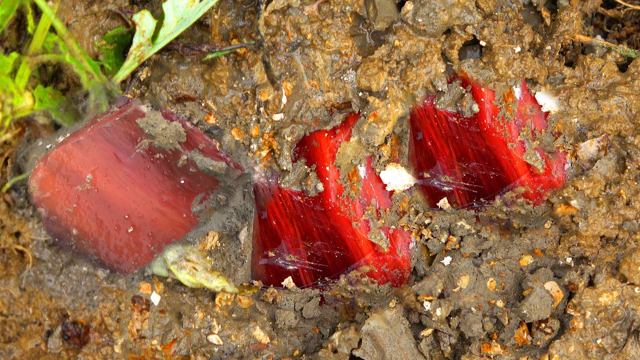 A miraculous discovery, the boy dug up a rare crystal gem