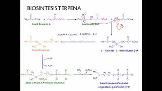 Kuliah KBA pertemuan 3 - Terpenoid