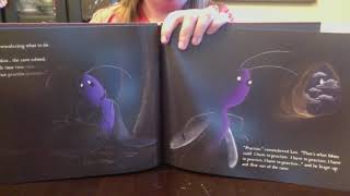 Leo the Lightning Bug Read aloud