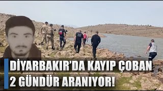 Diyarbakır'da Kayıp Çoban Aranıyor! 2 Gündür Haber Alınamıyor / AGRO TV HABER