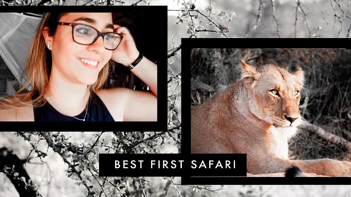 Best First Safari Experience! | Umlani Bushcamp | ...