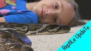 Reptile Collection (PT-2) : THE SNAKE GIRL! Krista Guarino Wealth