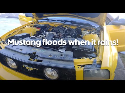 Ford Mustang water leak passenger side solved! Easy free fix!