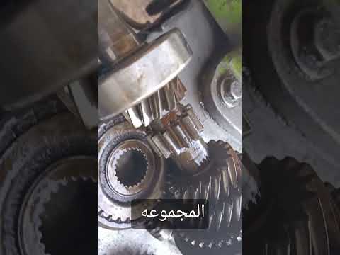 شجرة فتيس مانيوال Automobile اكسبلور لايك السعودية ترند Trafficsignal1