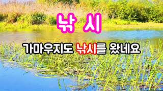 낚시(경기도 파주시 공릉천) 공릉천에 사는 가마우지는 어떻게 낚시를 할까요? 250507촬영 250512편집영상올림