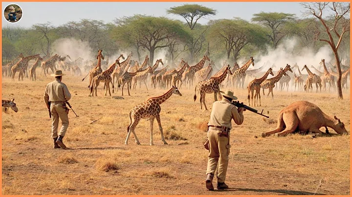 LIVE: SHOCKING: How Millions of Giraffes, Bears and Wild Boars Are Controlled by American Farmers