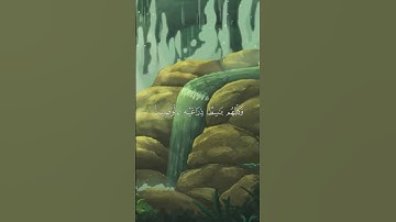 وَتَحْسَبُهُمْ أَيْقَاظًا وَهُمْ رُقُودٌ ۚ  ⚬ ( سورة الكهف الآية 18 ).