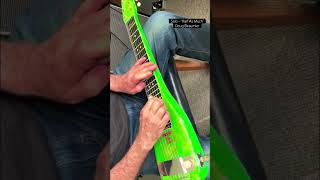 Lap Steel Guitar Solo -“Half As “Much”