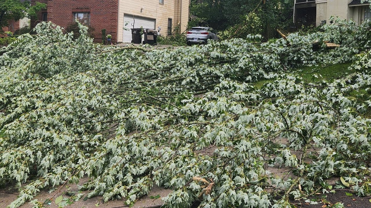 Rain Tree Rd Tornado Makes it Rain Trees on Rain Tree Road - YouTube