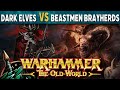 Dark elves vs beastmen brayherds warhammer the old world battle report