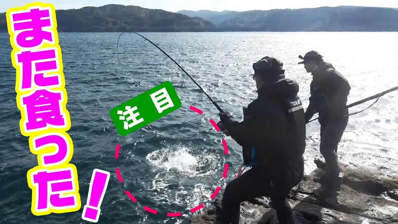 目の前でボイル連発 磯からルアーでブリ ヒラス Youtube 目の前でボイル連発 磯からルアーでブリ ヒラス Youtube