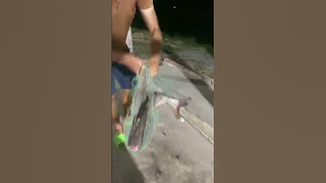 #Shorts Báo cá tra năm 2024 clip 2 - Hồ Câu Vườn Dừa ấp Ngã Tư, xã Nhuận Đức, huyện Củ Chi, TP HCM