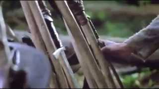 Merlin- Warrior