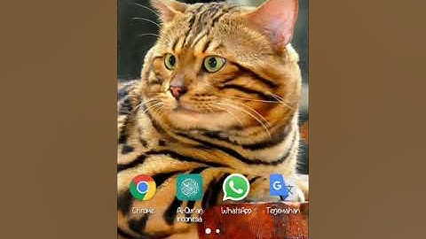 Setting Http Injector kartu 3 (Direct ssh ) + pembuatan akun ssh Gratis