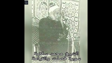 تلاوة نادرة للشيخ محمد سلامة من سورة فصلت والقيامة
