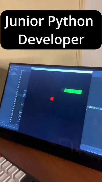 Python Senior vs Junior! #python #viral #codding #hacker #shorts - YouTube