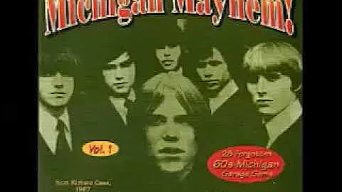 Various – Michigan Mayhem! Vol 1 : 60's Rare Garage Rock Gems, Psychedelic Fuzz Beat R&b Music ALBUM