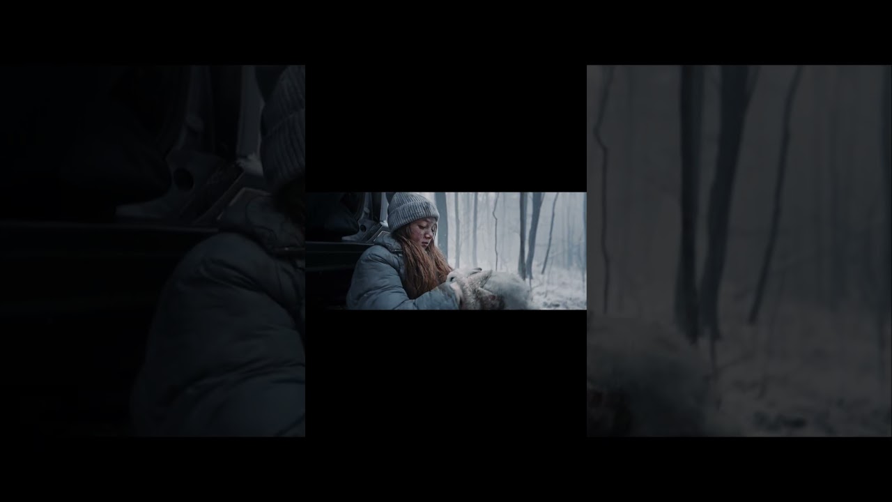 Animals in War  | Film Festival at Hollywood Park Presents Sviatoslav Kostiuk