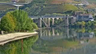 Régua, Vila Real - 2021 10 14