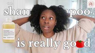 🍅 the best shampoo for dry, brittle hair | davines nounou shampoo | afro wash day | byalicexo