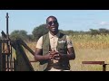 Aatv farmers voice  running a successful seedling production in botswana  episode 9 