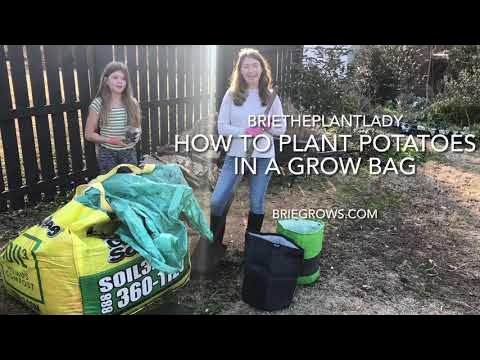 Grow Potatoes in a Bag - BloominThyme