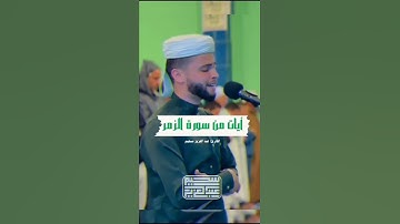 تلاوة خاشعة للقارئ عبد العزيز سحيم من سورة الزمر💚 #عبدالعزيز سحيم #سورة الزمر   Copy
