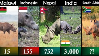 Remaining rhino population by country | DWA