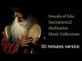 30 minutes  sounds of isha  instrumental  meditative over sadhgurus presence