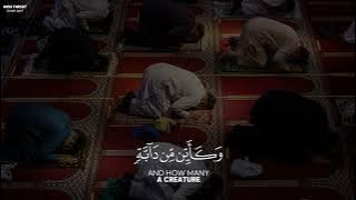 سورة العنكبوت بصوت عبدالرحمن مسعد اجمل حالات واتس اب دينية قرآن الكريم تصميمي 😌🎧