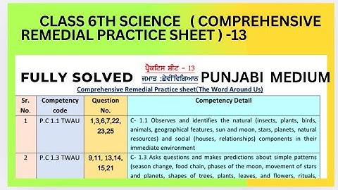 Class 6th Science  Comprehensive Remedial Practice Sheet ) - 13 Solved for Punjabi Medium.