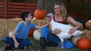 Choose Kind This Thanksgiving & Adopt a Turkey!