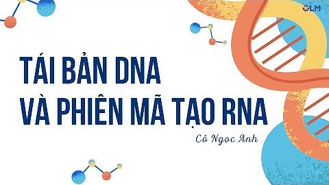 Tái bản DNA và phiên mã tạo RNA - Khoa học tự nhiên 9 - OLM.VN